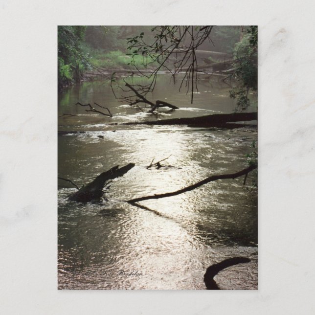 Postal Postcard de Tchefuncte Glimmer (Anverso)