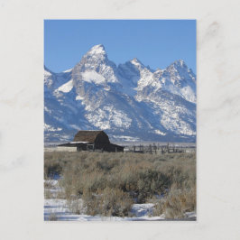 Postal Postcard de Teton Ranch