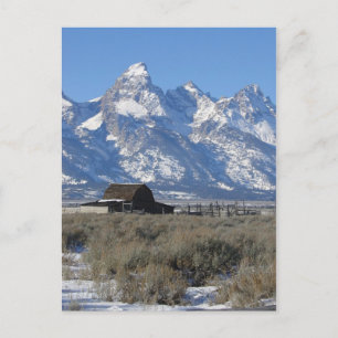 Postal Postcard de Teton Ranch