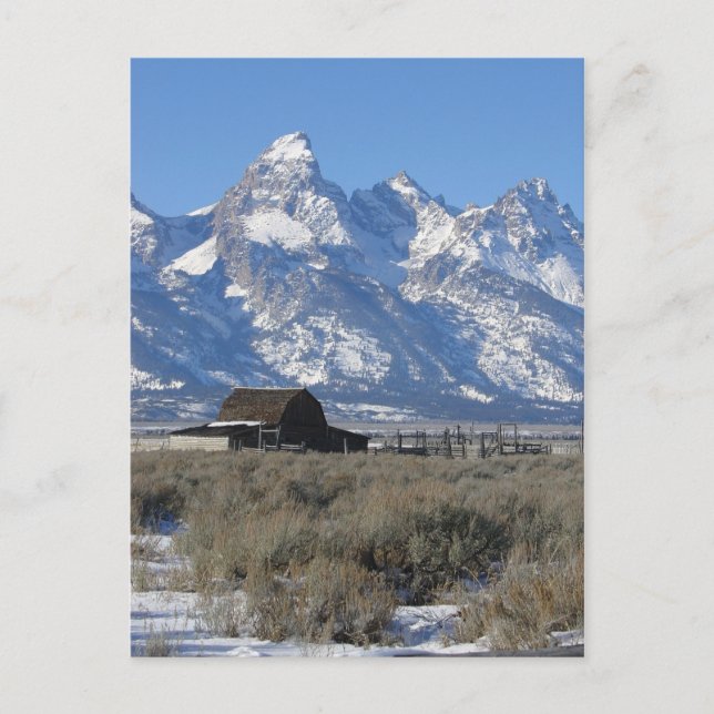 Postal Postcard de Teton Ranch (Anverso)