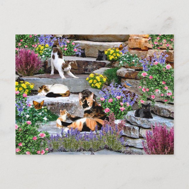 Postal Postcard de The Rock Garden (Anverso)