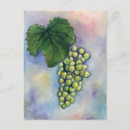 Postal Postcard de uvas de vino de Chardonnay