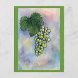 Postal Postcard de uvas de vino de Chardonnay
