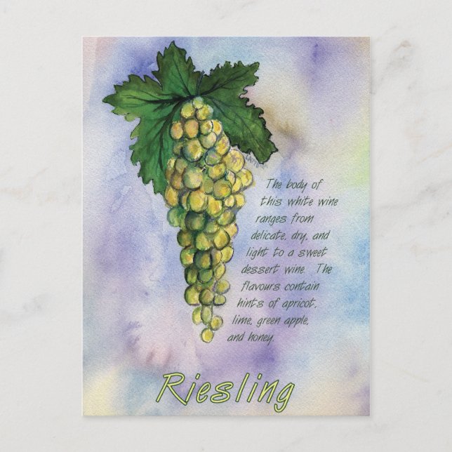 Postal Postcard de uvas de vino Riesling (Anverso)