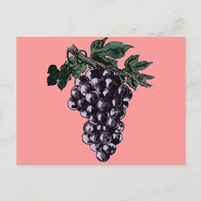 Postal Postcard de vides de uva (Anverso)