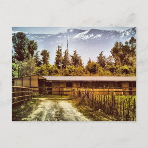 Postal Postcard de Visalia Ranch Road