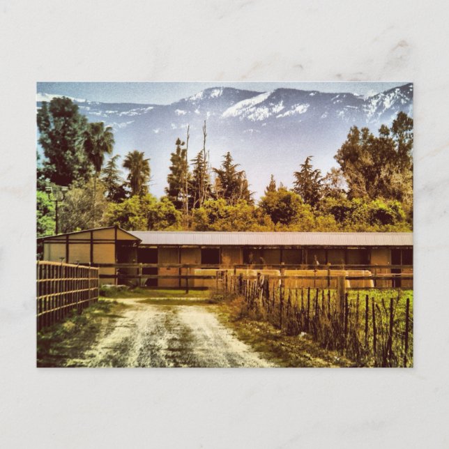Postal Postcard de Visalia Ranch Road (Anverso)