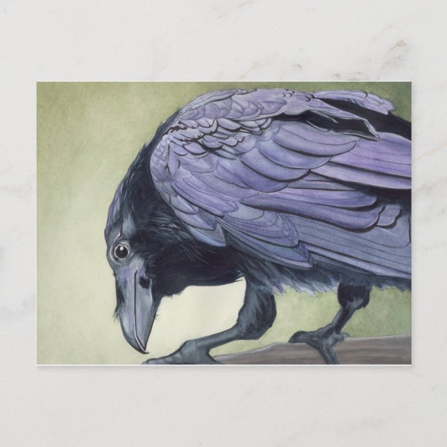 Postal Postcard de Watercolor Raven (Anverso)