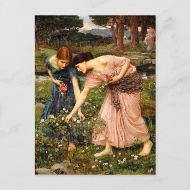 Postal Postcard de Waterhouse Gather Ye Rosebuds (Anverso)