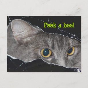 Postal Postcard de Xena peek-a-boo - Personalizado