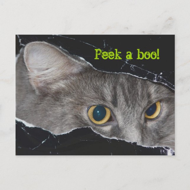 Postal Postcard de Xena peek-a-boo - Personalizado (Anverso)