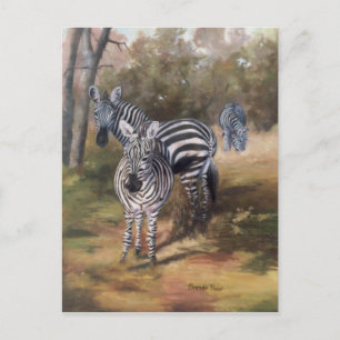 Postal Postcard de Zebras