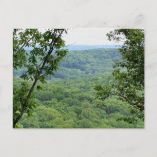 Postal Postcard del bosque Bernheim