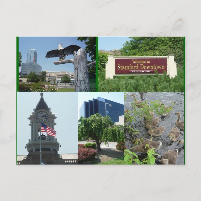 Postal Postcard del Centro de Stamford (Anverso)