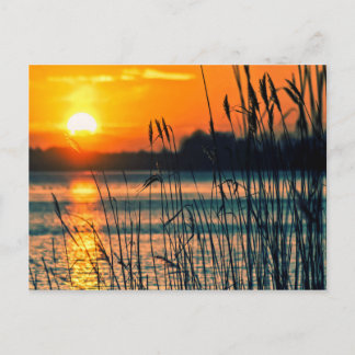 Postal Postcard del lago Sunset