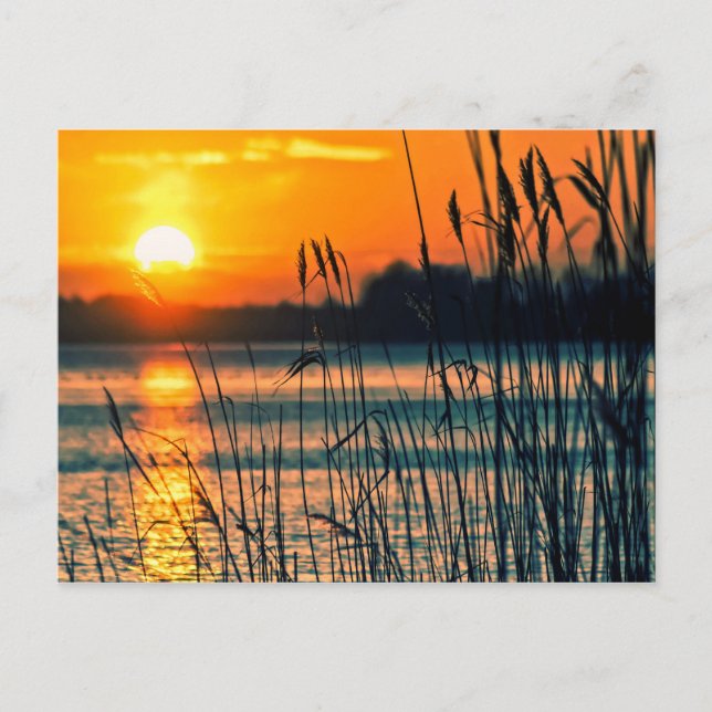 Postal Postcard del lago Sunset (Anverso)