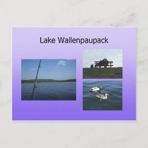 Postal Postcard del lago Wallenpaupack