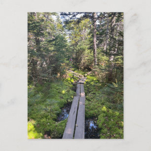 Postal Postcard del Monte Tom New Hampshire