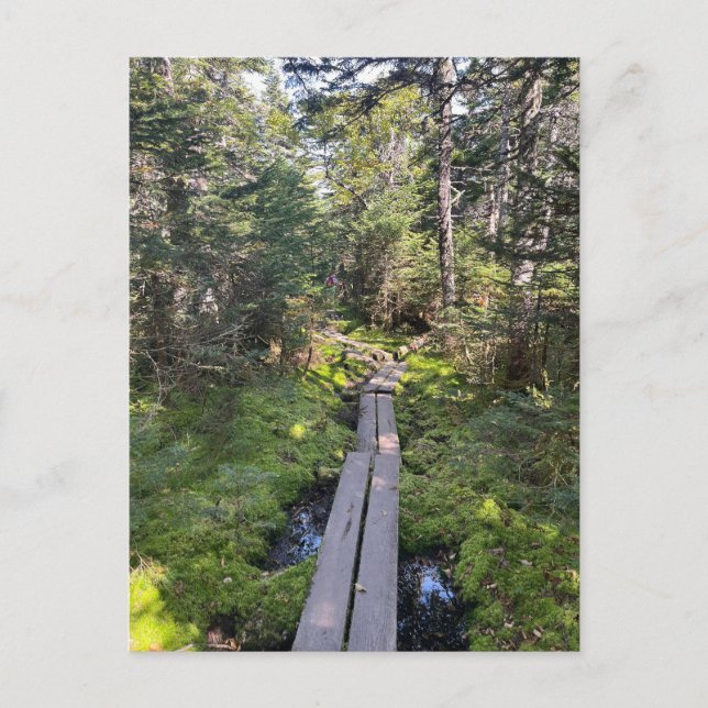 Postal Postcard del Monte Tom New Hampshire (Anverso)