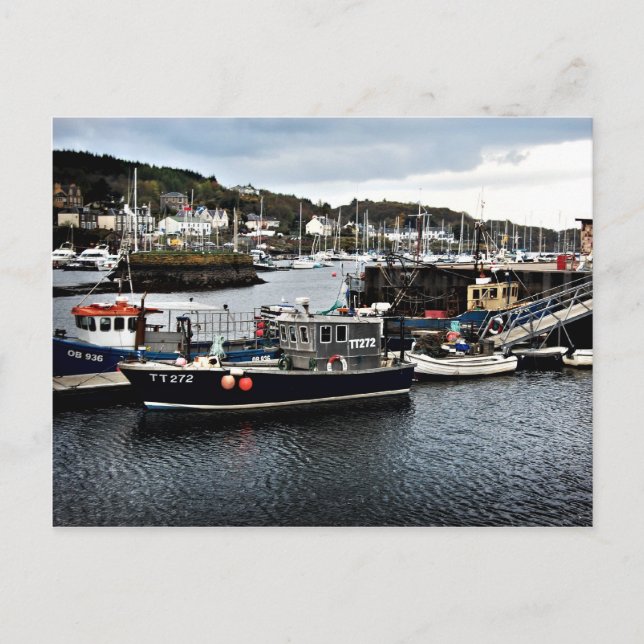 Postal Postcard del puerto de Tarbert (Anverso)
