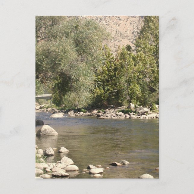 Postal ¡Postcard del río Kern! (Anverso)