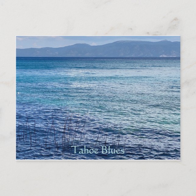 Postal Postcard del Tahoe Blues (Anverso)