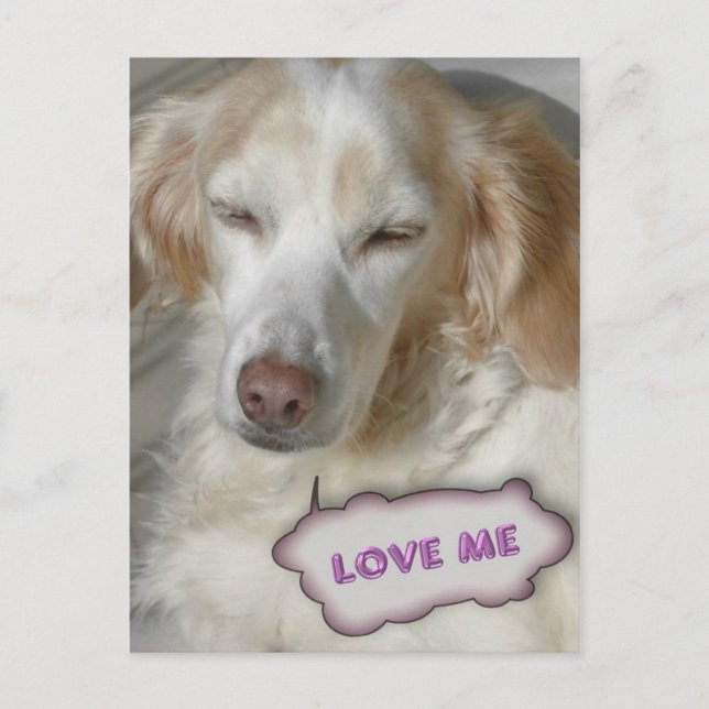 Postal Postcard dulce (Anverso)
