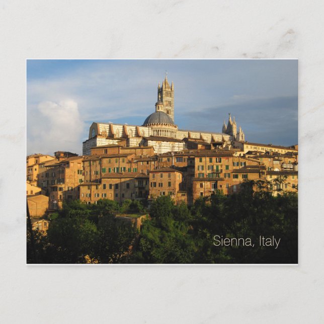 Postal Postcard - Duomo di Siena, Italia (Anverso)