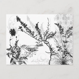 Postal Postcard Earthy B/W