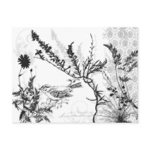 Postcard Earthy B/W