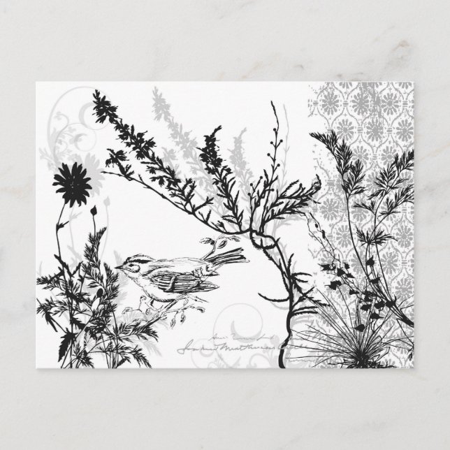 Postal Postcard Earthy B/W (Anverso)