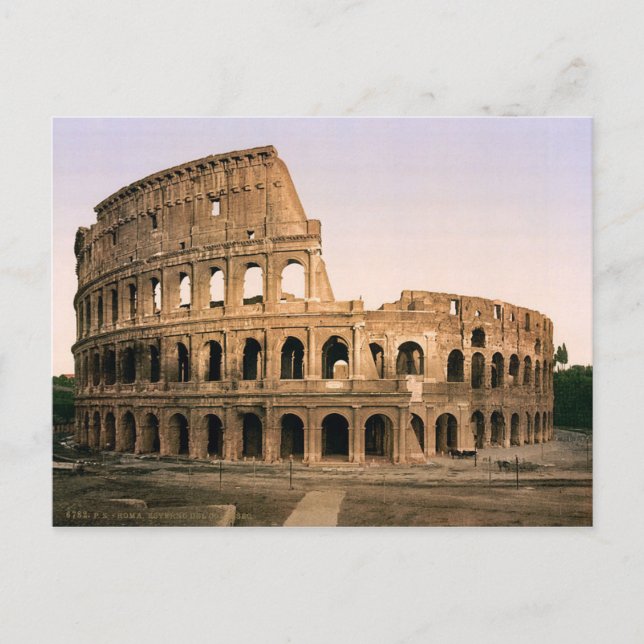 Postal Postcard El Coliseo De Roma, Italia (Anverso)