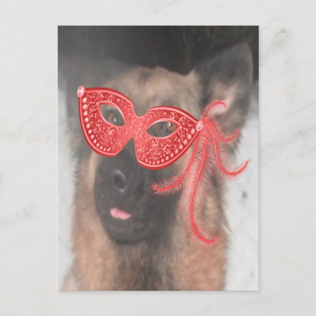 Postal Postcard El pastor alemán Mardi Gras Mask Red (Anverso)