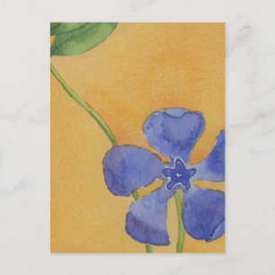 Postal Postcard floral de Vinca