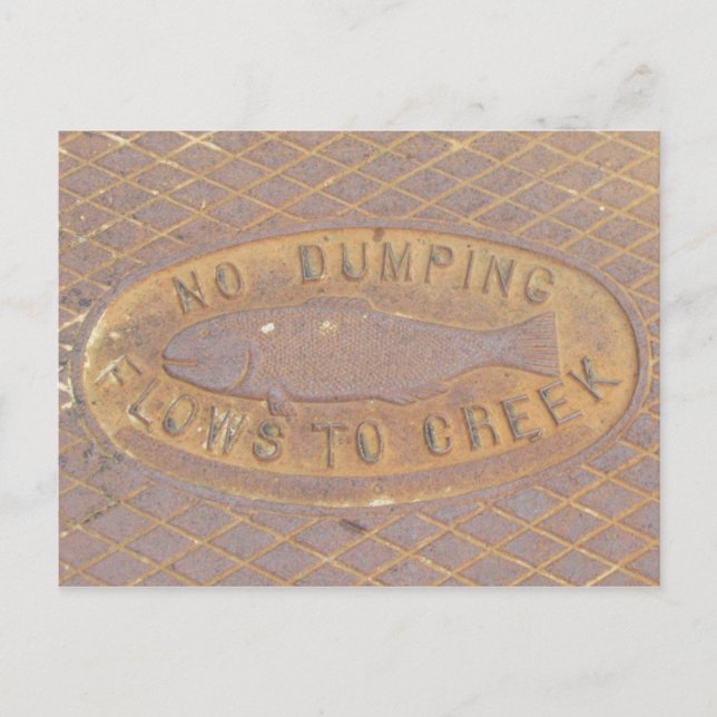 Postal Postcard - Flujos a Creek (Anverso)