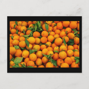 Postal Postcard-Food/Bebida-21