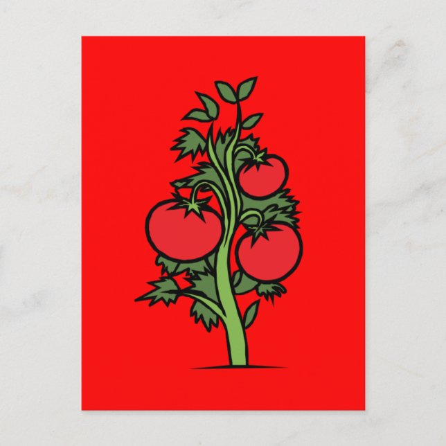 Postal Postcard-Food/Bebida-24 (Anverso)