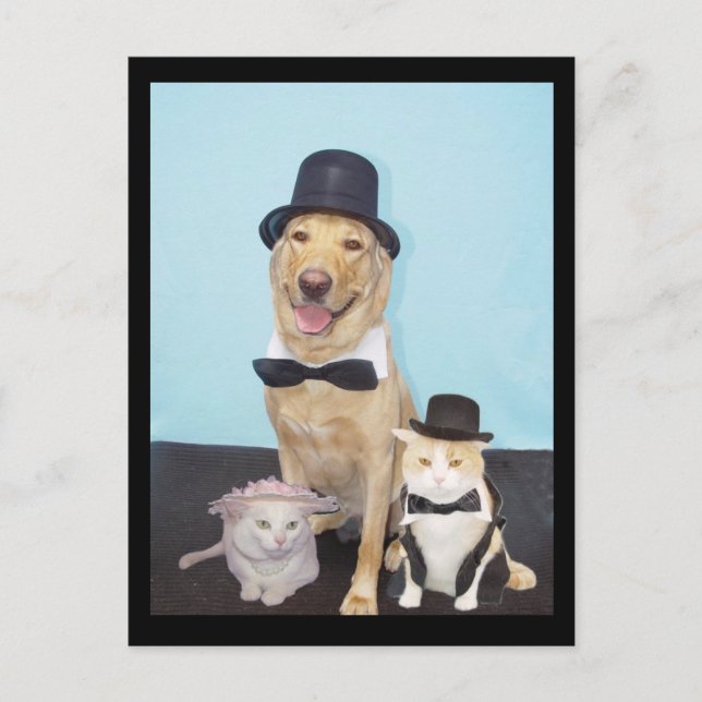 Postal Postcard formal (Anverso)