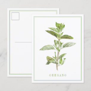 Postal Postcard FRESH OREGANO