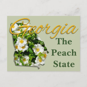 Postal Postcard - GEORGIA
