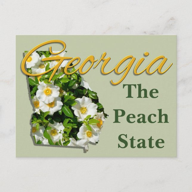 Postal Postcard - GEORGIA (Anverso)