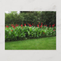 POSTCARD ~ GREENHOUSE PLANTS GARDEN ABIERTO NEGOCI