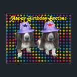 Postal Postcard Happy Brother Birday Basset<br><div class="desc">Postal Happy Birday Brother - 2 basset se centra en estrellas que llevan gorras estrellas</div>