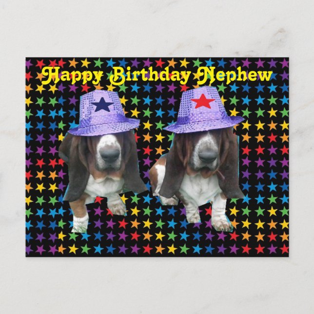 Postal Postcard Happy Nephew Birday Basset (Anverso)