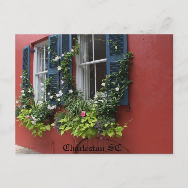 Postal Postcard, Hi def photography Charleston SC (Anverso)