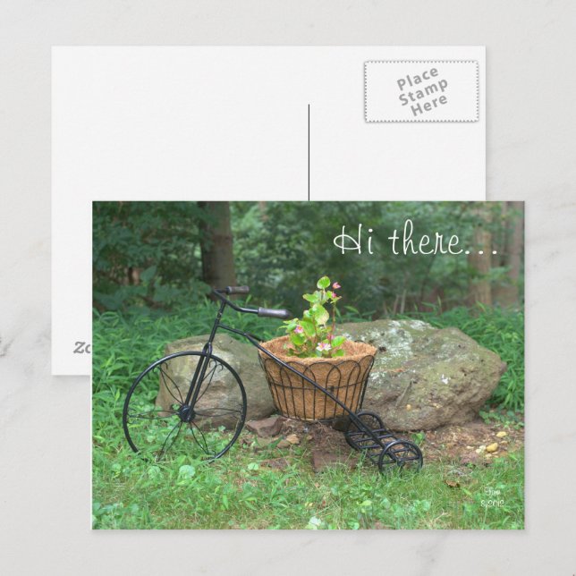 Postal Postcard Hi There. Flores rosa en bicicleta en ces (Anverso / Reverso)
