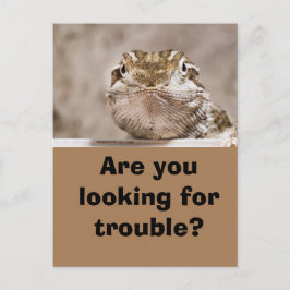 Postal Postcard Humor Echse schaut herausfordernd hervor