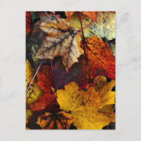 Postcard - 'I Love Fall' por Joanne Coyle