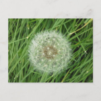 Postal Postcard - imagen natural