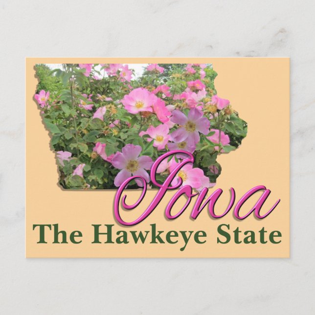 Postal Postcard - IOWA (Anverso)